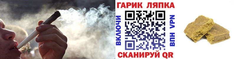 Купить где  Сенгилей  Гашиш Cannabis 