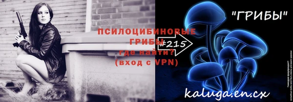 ECSTASY Козловка